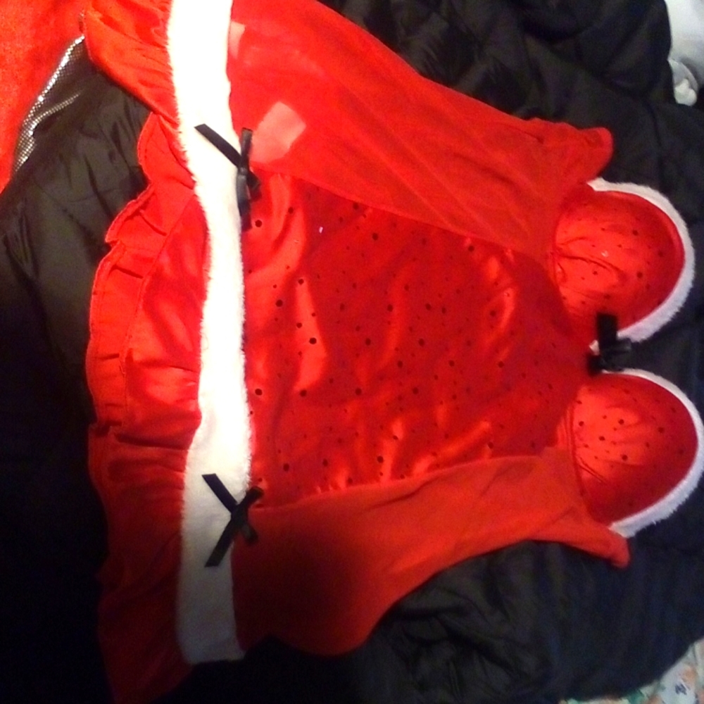 True Desire size medium lingerie